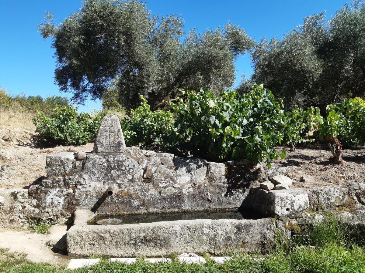Casa Cristina Villa Miranda del Castañar Eksteriør billede